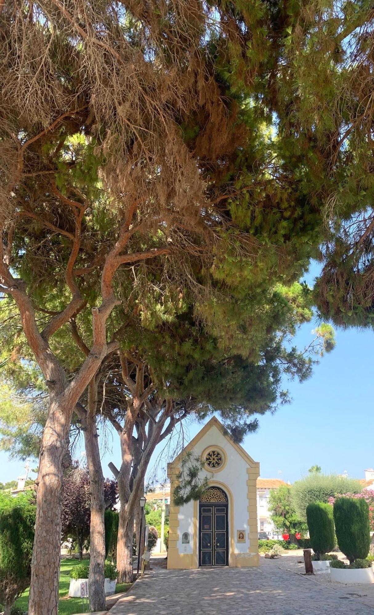 Lagovista45 Torrevieja Zewnętrze zdjęcie